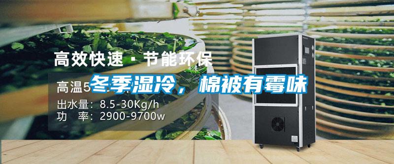 冬季濕冷，棉被有霉味