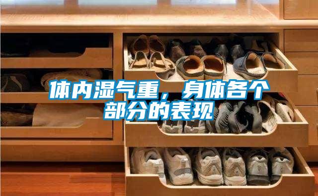 體內(nèi)濕氣重，身體各個部分的表現(xiàn)
