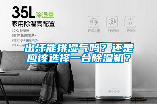 出汗能排濕氣嗎？還是應(yīng)該選擇一臺除濕機？