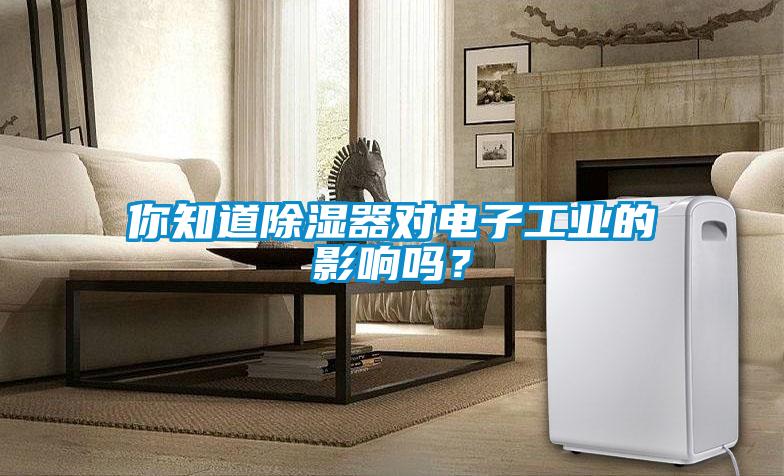 你知道除濕器對(duì)電子工業(yè)的影響嗎？