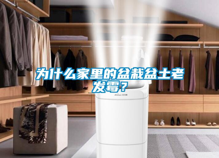 為什么家里的盆栽盆土老發(fā)霉？