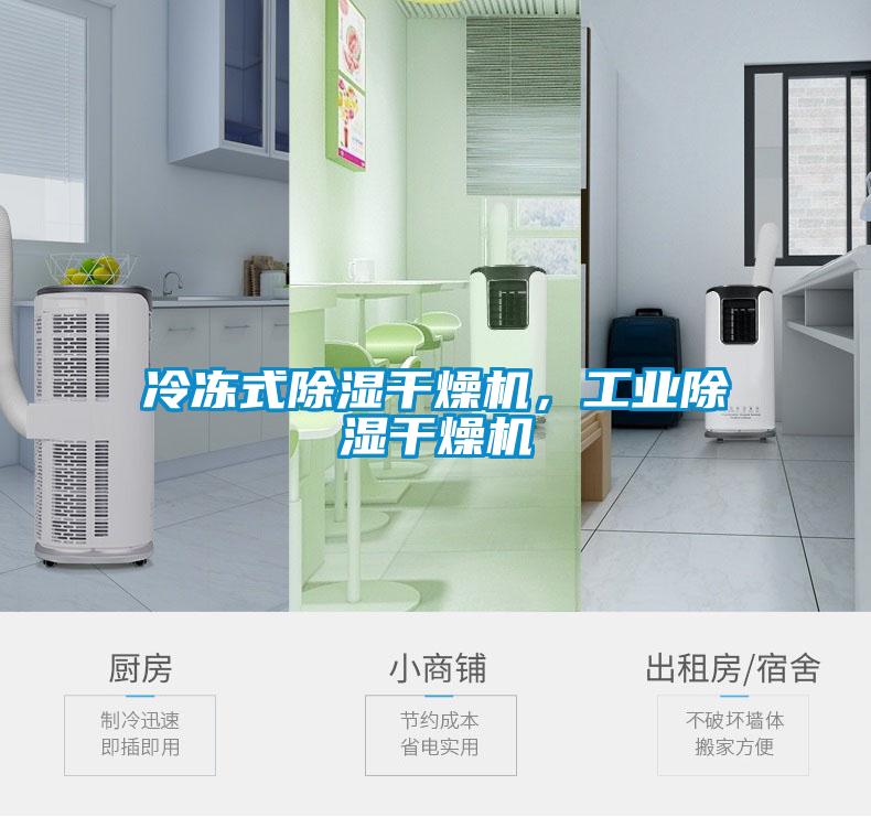 冷凍式除濕干燥機(jī)，工業(yè)除濕干燥機(jī)
