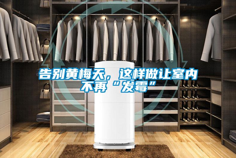 告別黃梅天，這樣做讓室內(nèi)不再“發(fā)霉”