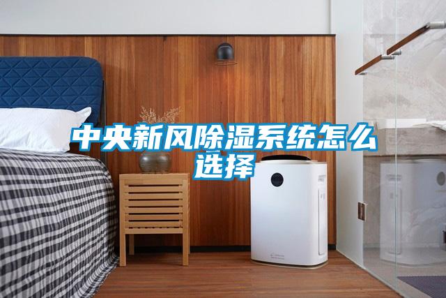中央新風除濕系統(tǒng)怎么選擇