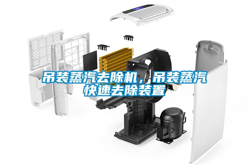 吊裝蒸汽去除機(jī)，吊裝蒸汽快速去除裝置