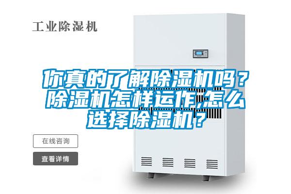 你真的了解除濕機嗎？除濕機怎樣運作,怎么選擇除濕機？