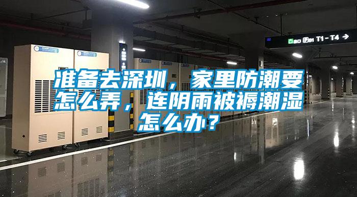 準備去深圳，家里防潮要怎么弄，連陰雨被褥潮濕怎么辦？