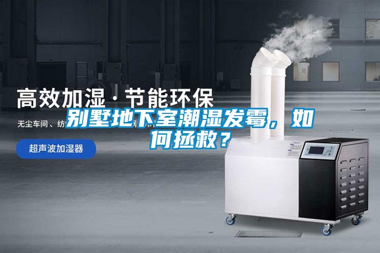 別墅地下室潮濕發(fā)霉，如何拯救？
