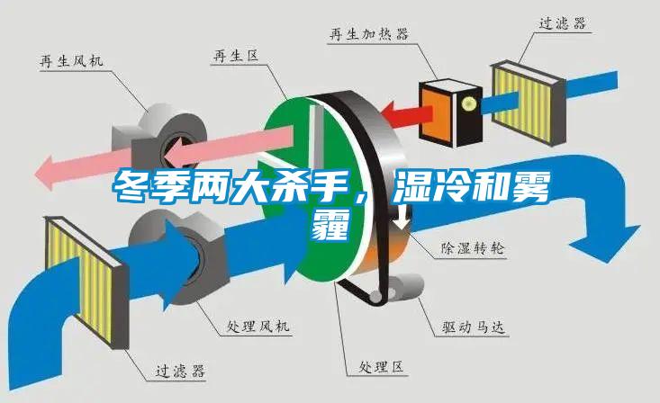 冬季兩大殺手，濕冷和霧霾