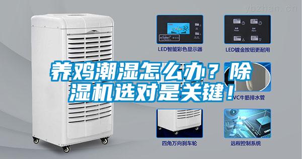 養(yǎng)雞潮濕怎么辦？除濕機(jī)選對是關(guān)鍵！