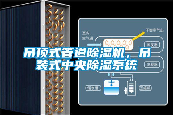 吊頂式管道除濕機，吊裝式中央除濕系統(tǒng)