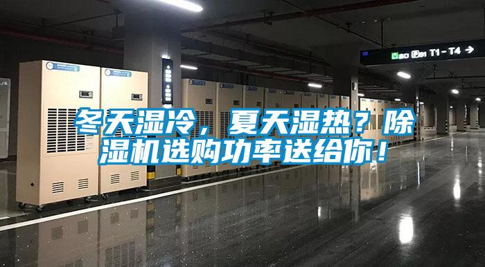 冬天濕冷，夏天濕熱？除濕機選購功率送給你！