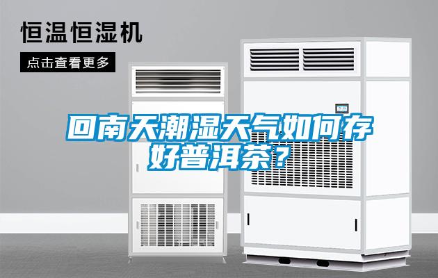 回南天潮濕天氣如何存好普洱茶？