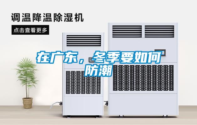 在廣東，冬季要如何防潮