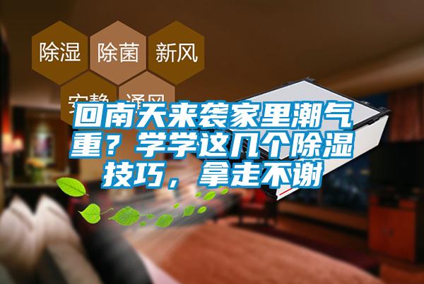 回南天來襲家里潮氣重？學(xué)學(xué)這幾個(gè)除濕技巧，拿走不謝