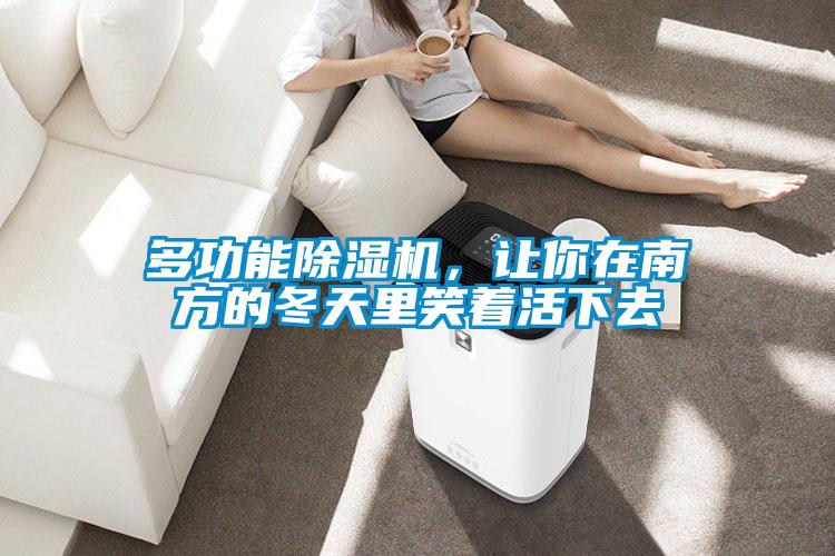 多功能除濕機，讓你在南方的冬天里笑著活下去