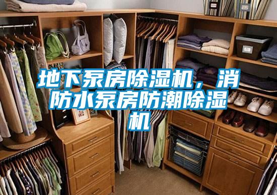 地下泵房除濕機，消防水泵房防潮除濕機
