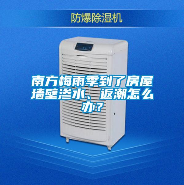 南方梅雨季到了房屋墻壁滲水、返潮怎么辦？