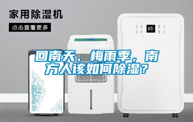 回南天、梅雨季，南方人該如何除濕？