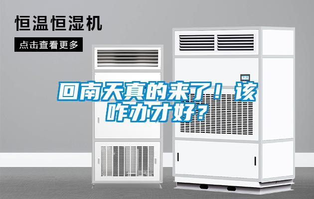 回南天真的來了！該咋辦才好？