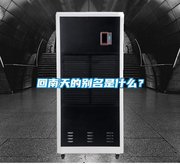 回南天的別名是什么？
