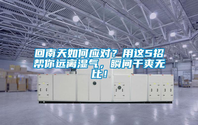 回南天如何應(yīng)對(duì)？用這5招幫你遠(yuǎn)離濕氣，瞬間干爽無比！