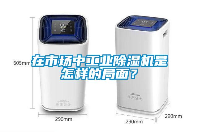 在市場中工業(yè)除濕機是怎樣的局面？