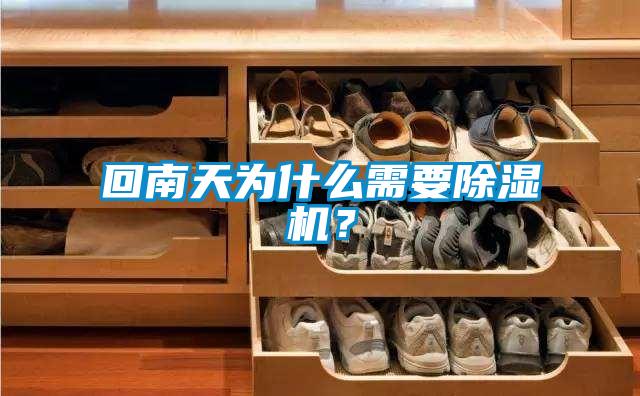 回南天為什么需要除濕機(jī)？