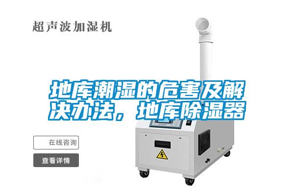 地庫(kù)潮濕的危害及解決辦法，地庫(kù)除濕器
