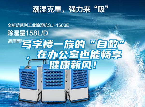 寫字樓一族的“自救”，在辦公室也能暢享健康新風(fēng)！