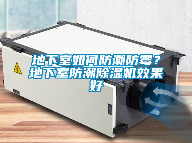 地下室如何防潮防霉？地下室防潮除濕機(jī)效果好