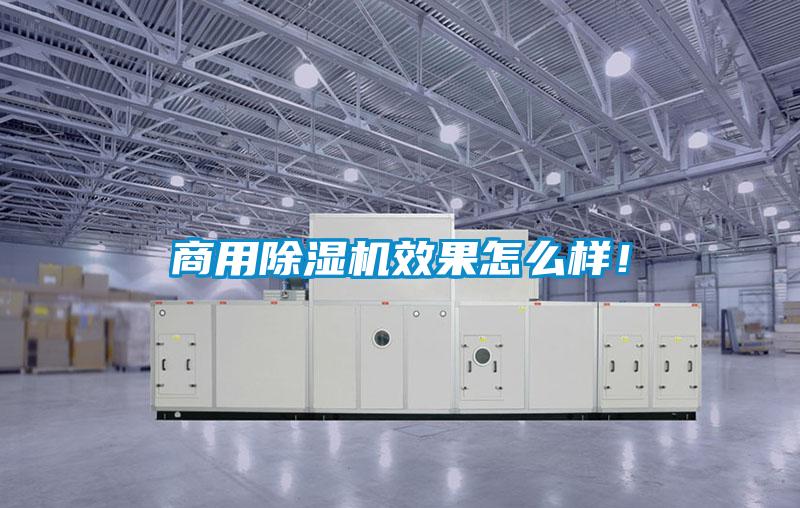 商用除濕機效果怎么樣！
