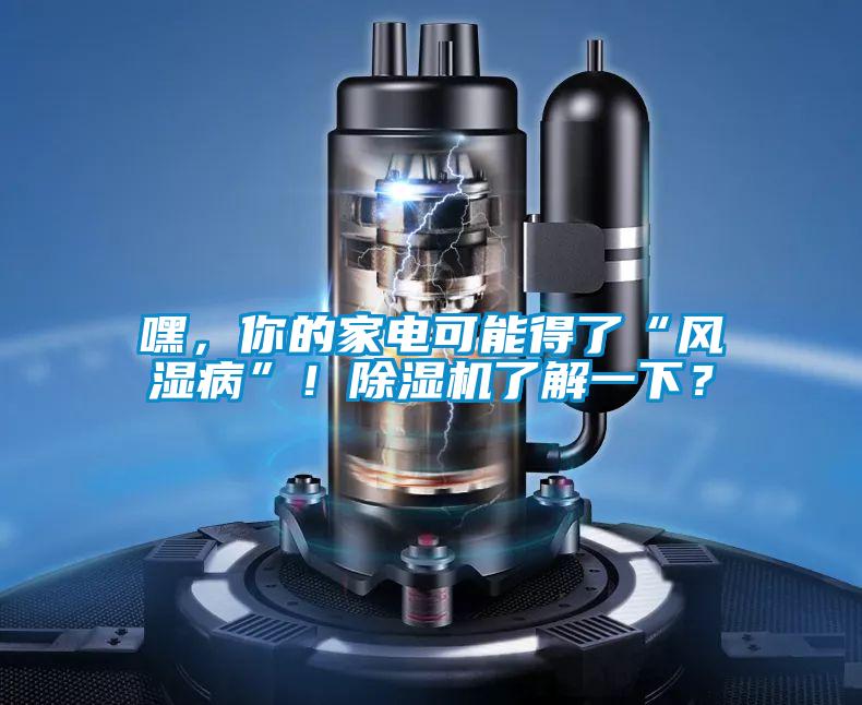嘿，你的家電可能得了“風濕病”！除濕機了解一下？