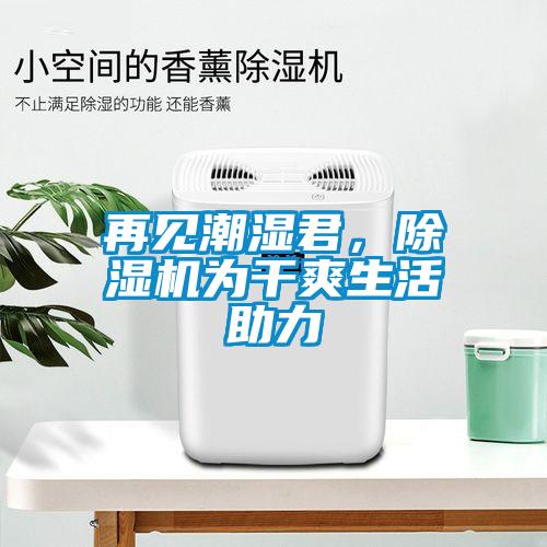再見潮濕君，除濕機為干爽生活助力