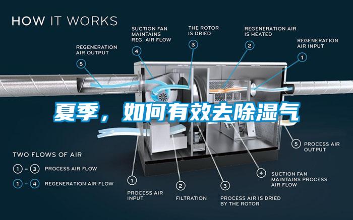 夏季，如何有效去除濕氣
