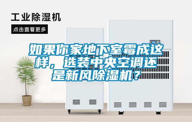 如果你家地下室霉成這樣，選裝中央空調還是新風除濕機？
