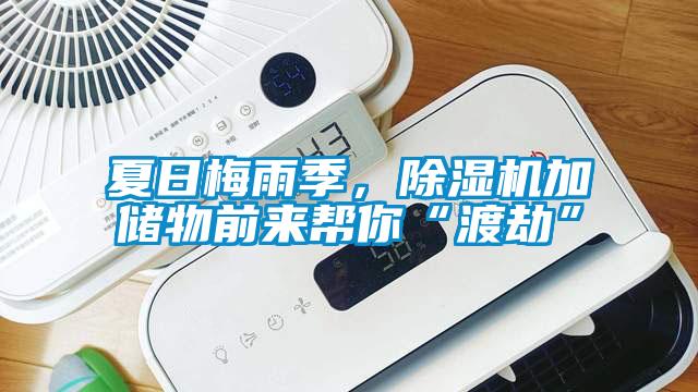 夏日梅雨季，除濕機加儲物前來幫你“渡劫”