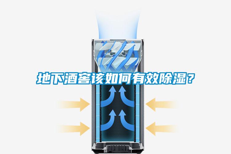地下酒窖該如何有效除濕？