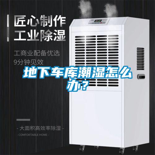 地下車庫(kù)潮濕怎么辦？