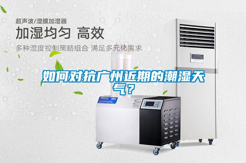 如何對(duì)抗廣州近期的潮濕天氣？