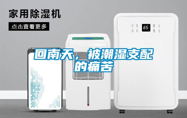 回南天，被潮濕支配的痛苦