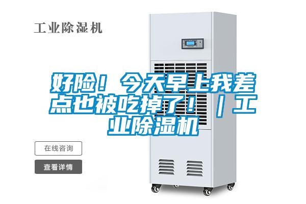 好險(xiǎn)！今天早上我差點(diǎn)也被吃掉了?。I(yè)除濕機(jī)