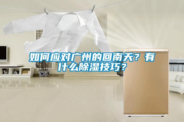 如何應(yīng)對廣州的回南天？有什么除濕技巧？