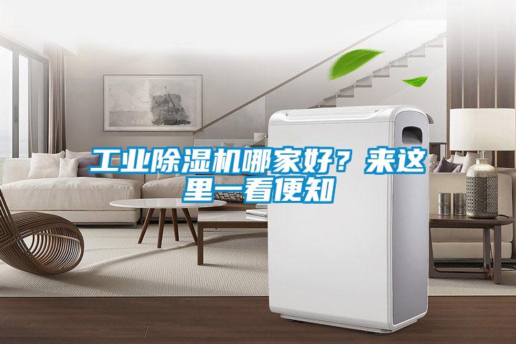 工業(yè)除濕機(jī)哪家好？來(lái)這里一看便知