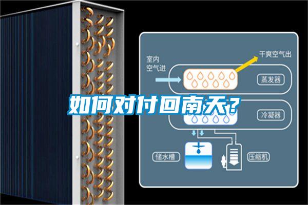 如何對付回南天？