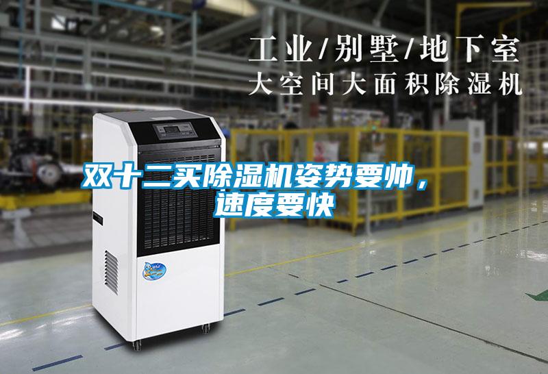 雙十二買除濕機(jī)姿勢(shì)要帥， 速度要快