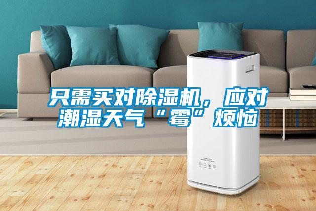 只需買對除濕機(jī)，應(yīng)對潮濕天氣“霉”煩惱