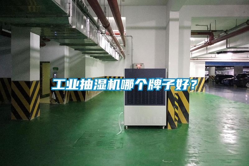 工業(yè)抽濕機哪個牌子好？
