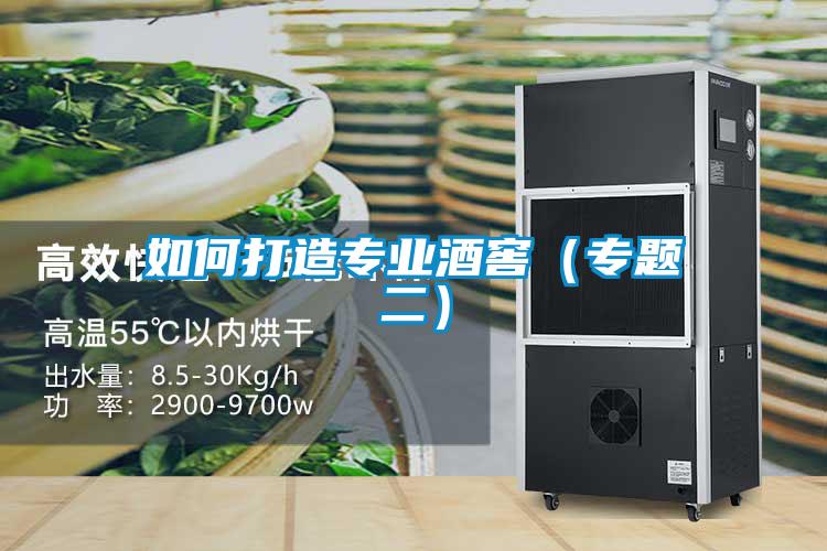如何打造專(zhuān)業(yè)酒窖（專(zhuān)題二）