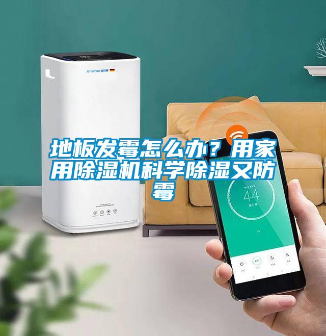 地板發(fā)霉怎么辦？用家用除濕機(jī)科學(xué)除濕又防霉